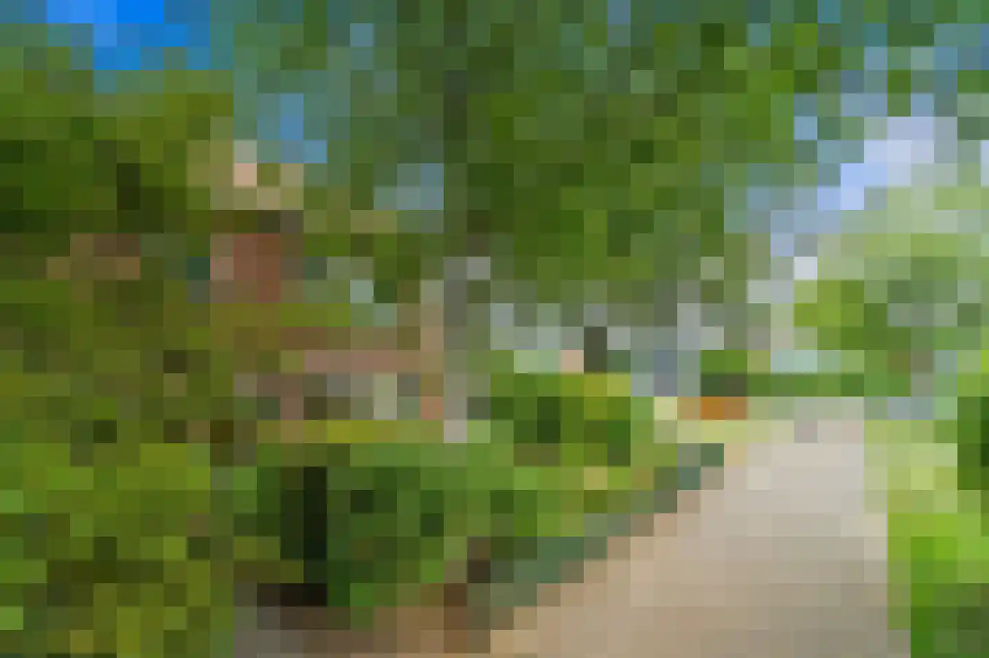 Prinsessenpad 29 Den Hoorn thumbnail 6