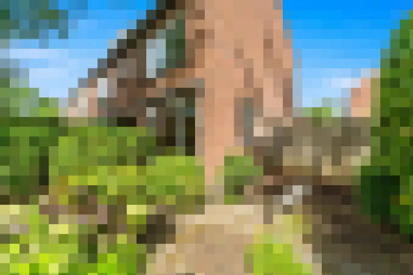 Prinsessenpad 29 Den Hoorn thumbnail 9