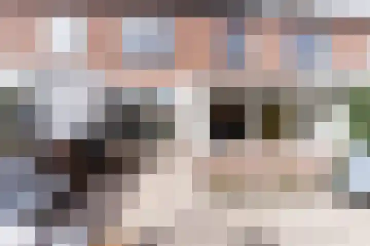 Prinsessenpad 6 Den Hoorn thumbnail 17