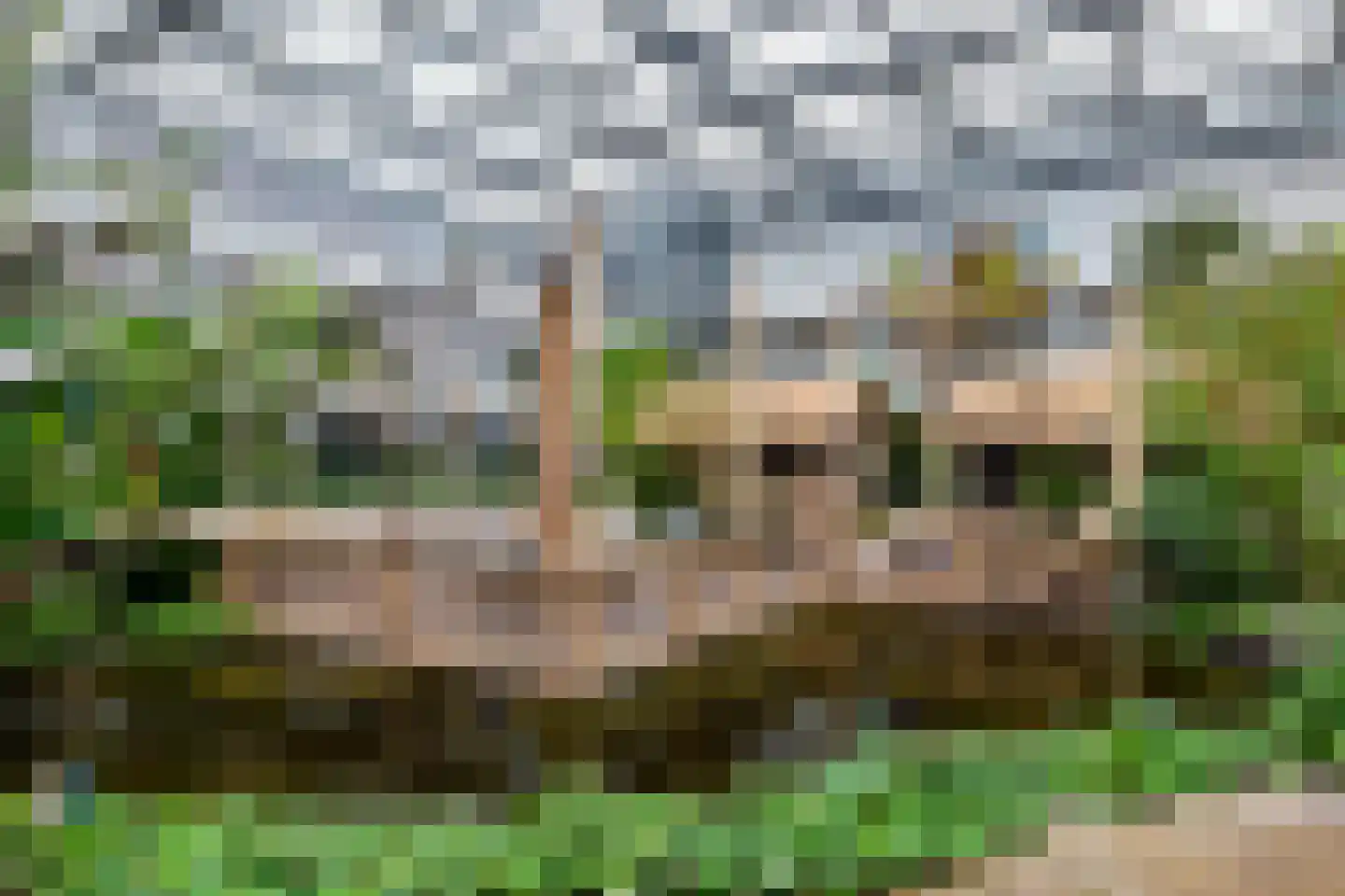 Prinsessenpark 28 Leeuwarden thumbnail 35