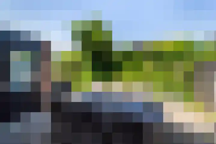 Prinsessenpark 43 Zwijndrecht thumbnail 27