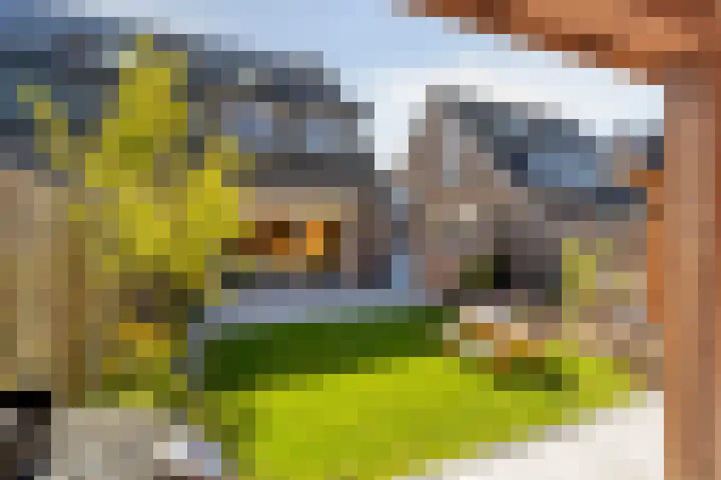 Prinsessenpark 7 Zwijndrecht thumbnail 37