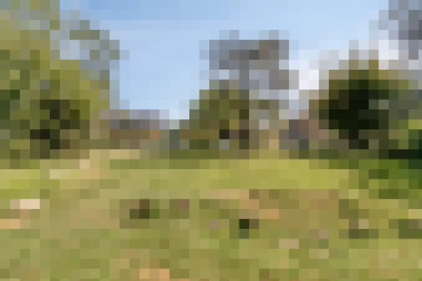 Prinsessenpark 7 Zwijndrecht thumbnail 43