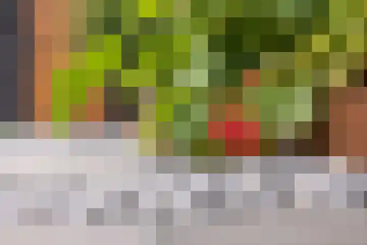 Prinsessenstraat 15 Denekamp thumbnail 22