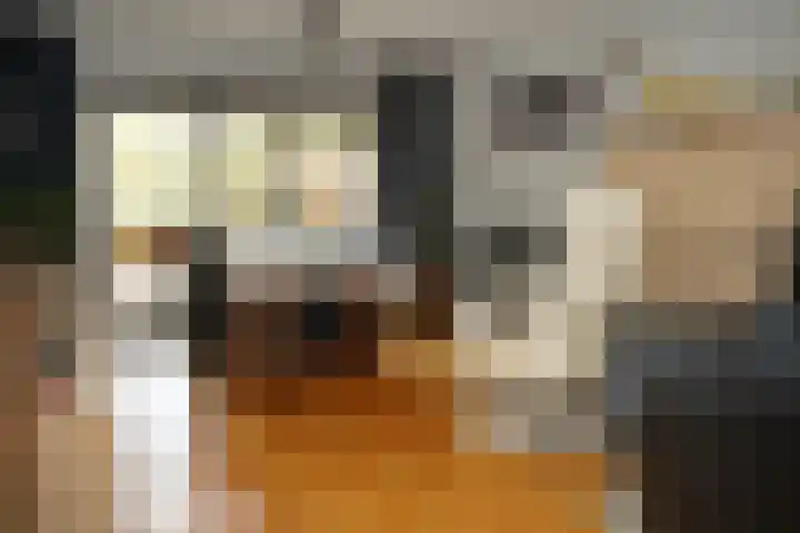Prinsessenstraat 24 IJzendijke thumbnail 10