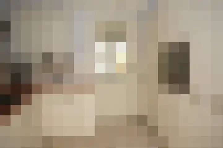 Prinsessenstraat 24 IJzendijke thumbnail 19