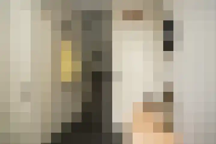 Prinsessenstraat 24 IJzendijke thumbnail 23