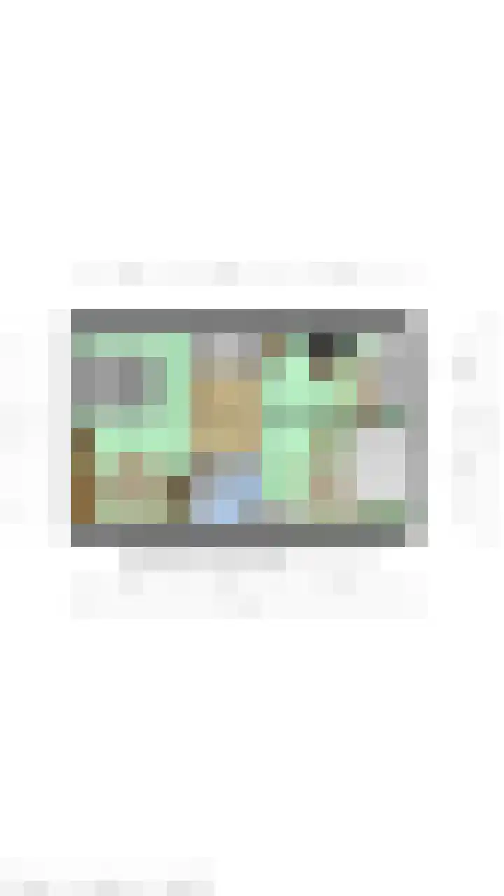 Prinsessenstraat 24 IJzendijke thumbnail 34