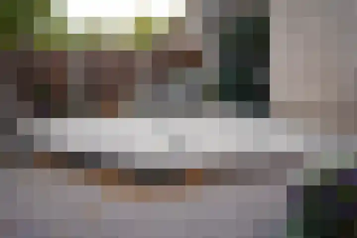 Prinsessenstraat 24 IJzendijke thumbnail 37
