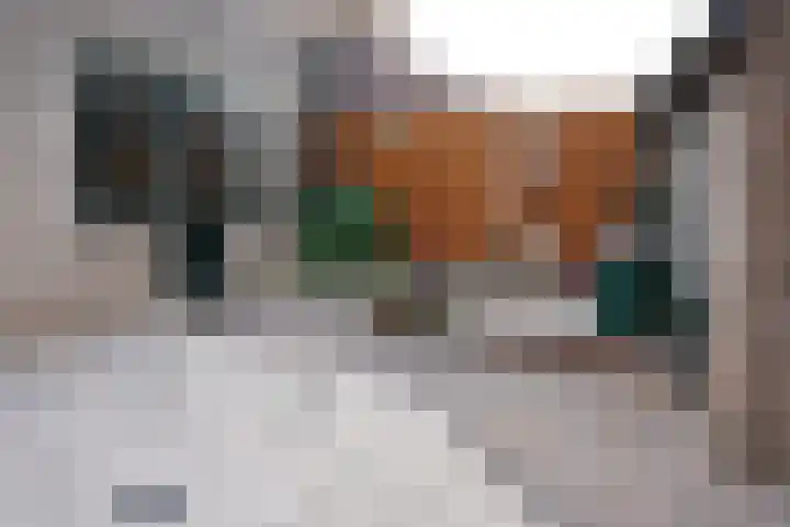 Prinsessenstraat 24 IJzendijke thumbnail 38