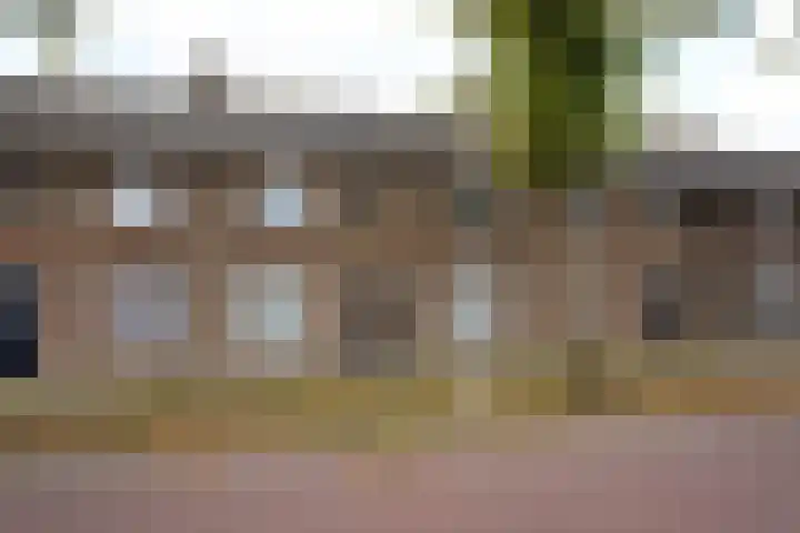 Prinsessenstraat 24 IJzendijke thumbnail 44
