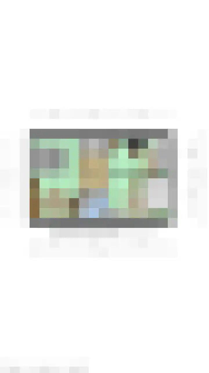 Prinsessenstraat 24 IJzendijke thumbnail 48