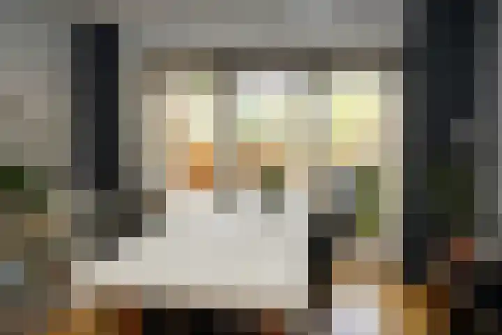 Prinsessenstraat 24 IJzendijke thumbnail 7