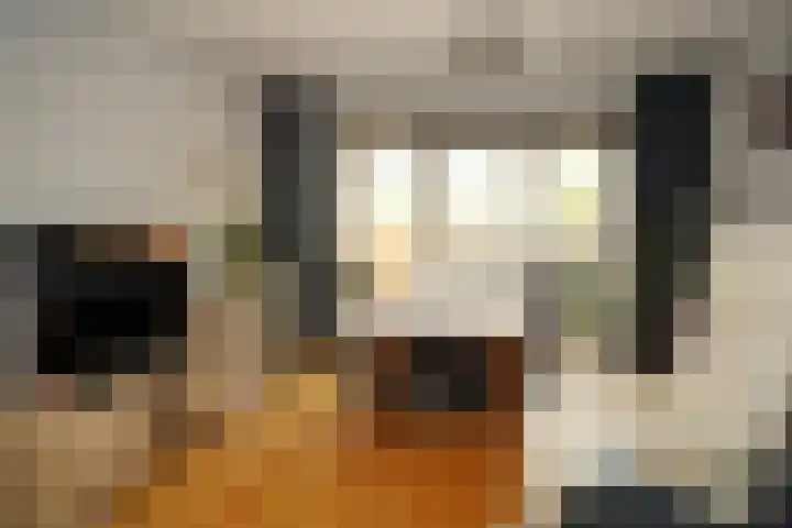 Prinsessenstraat 24 IJzendijke thumbnail 9
