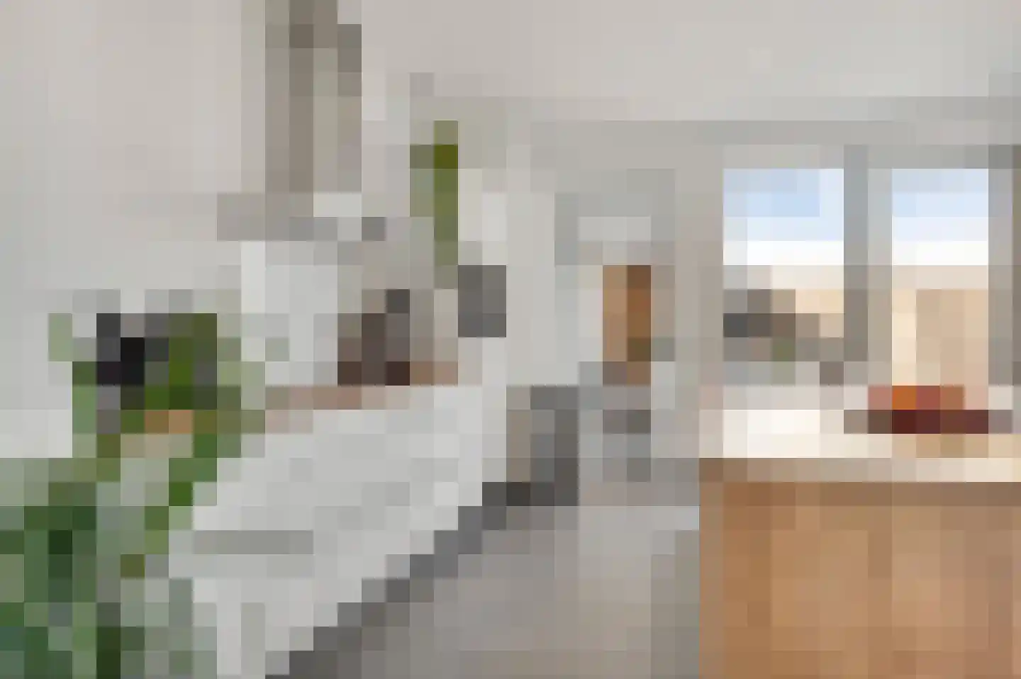 Prinsessenstraat 8 Nederweert thumbnail 10