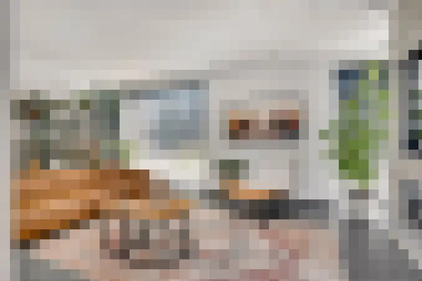 Prinsessenstraat 8 Nederweert thumbnail 11