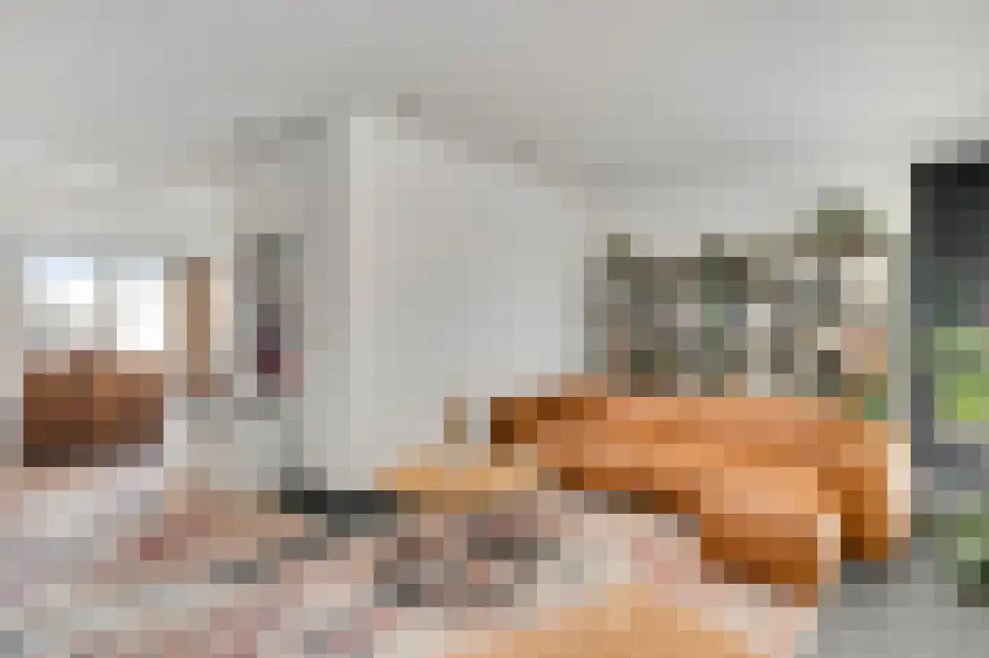 Prinsessenstraat 8 Nederweert thumbnail 12