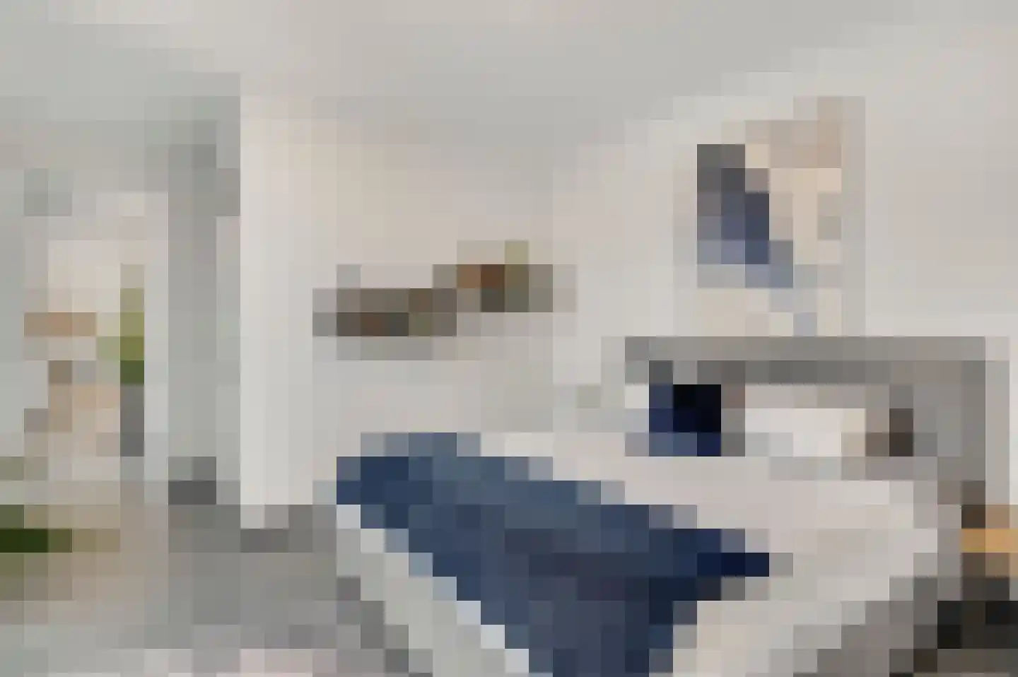 Prinsessenstraat 8 Nederweert thumbnail 17