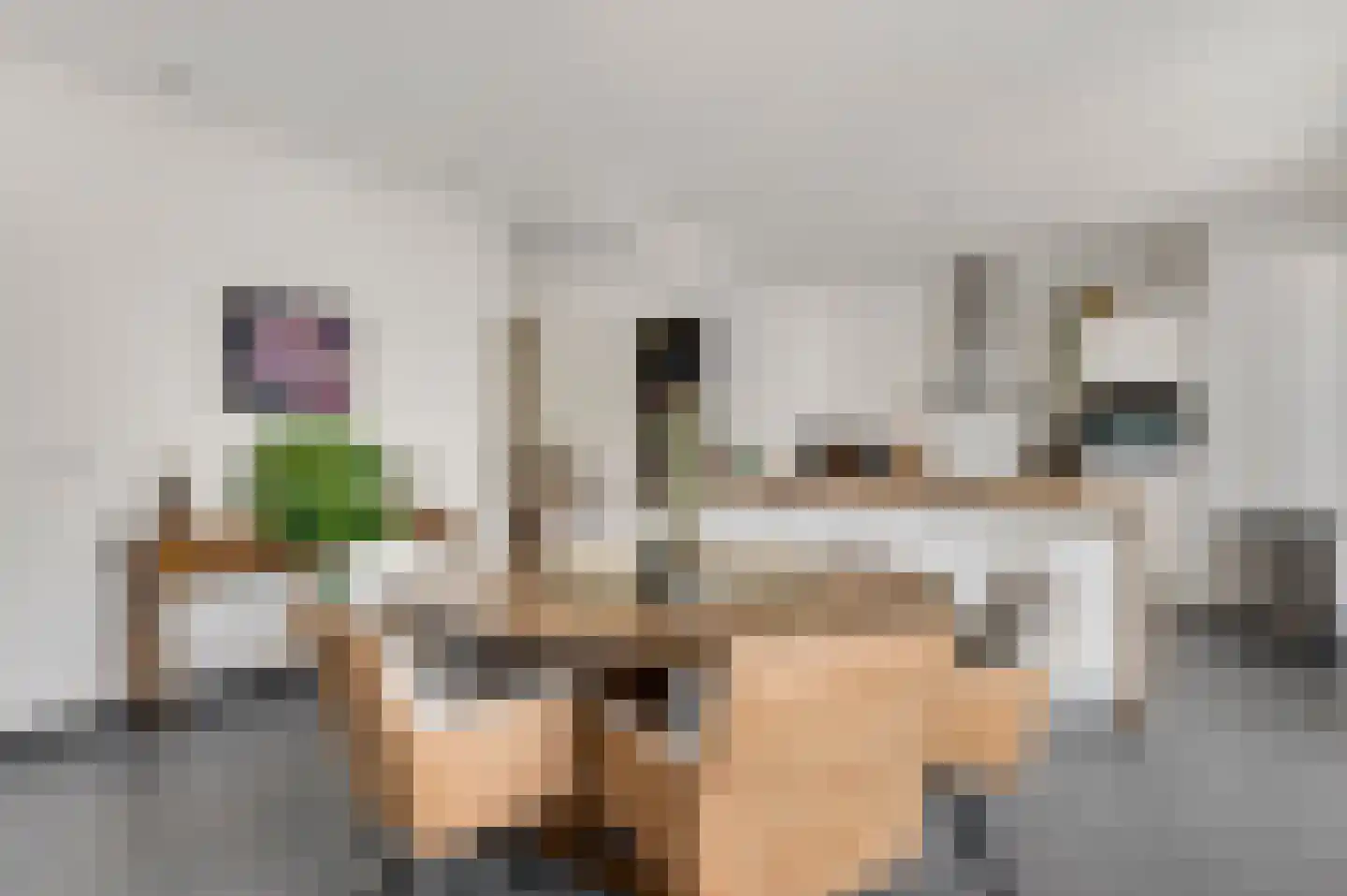 Prinsessenstraat 8 Nederweert thumbnail 6