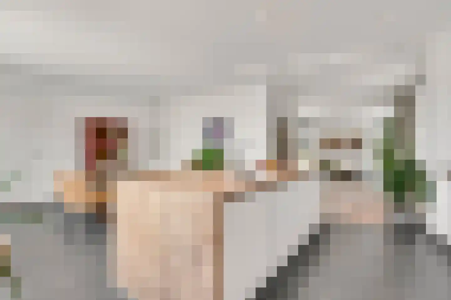 Prinsessenstraat 8 Nederweert thumbnail 9