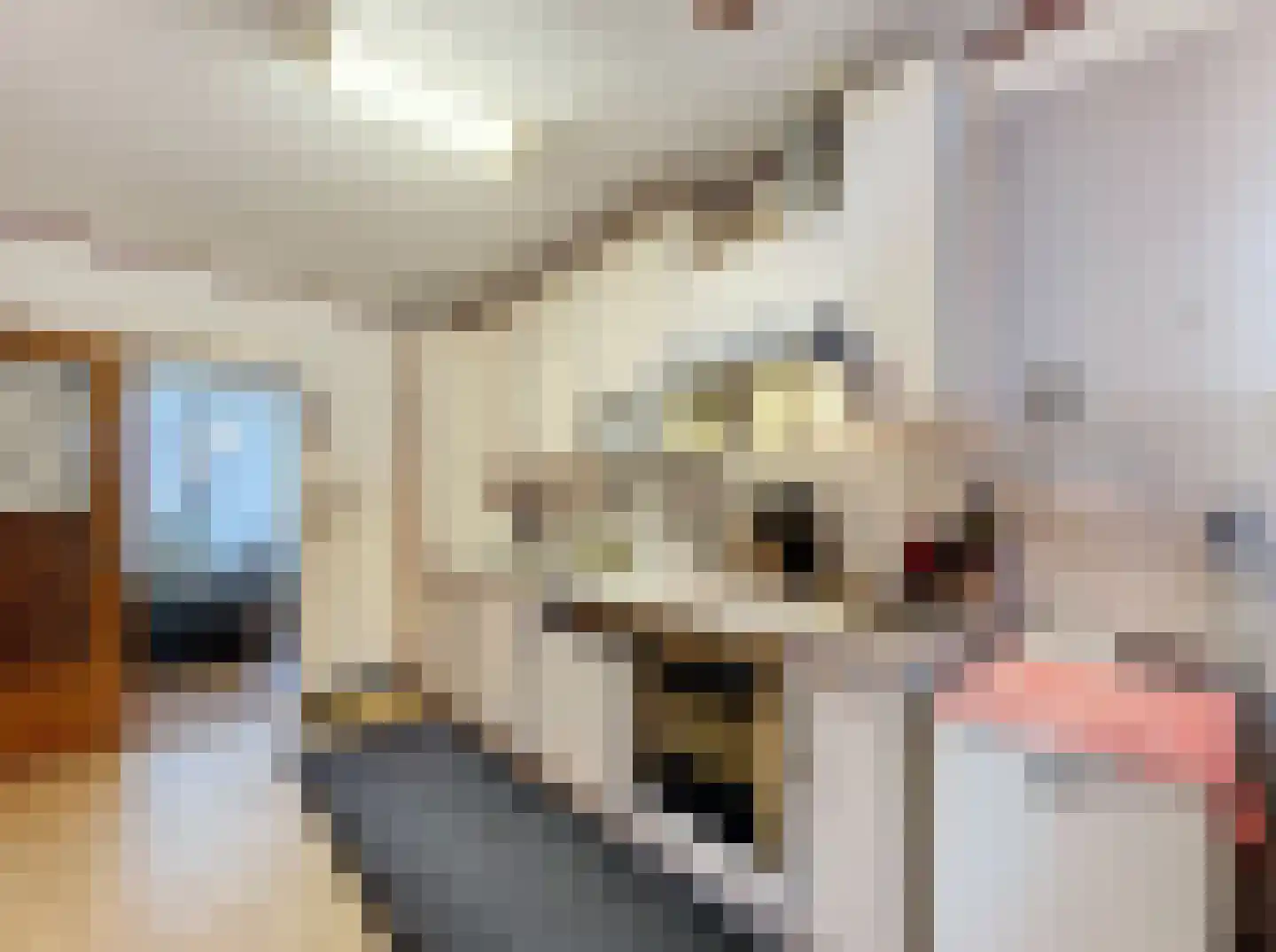 Prinsessenstraat 9 IJzendijke thumbnail 10