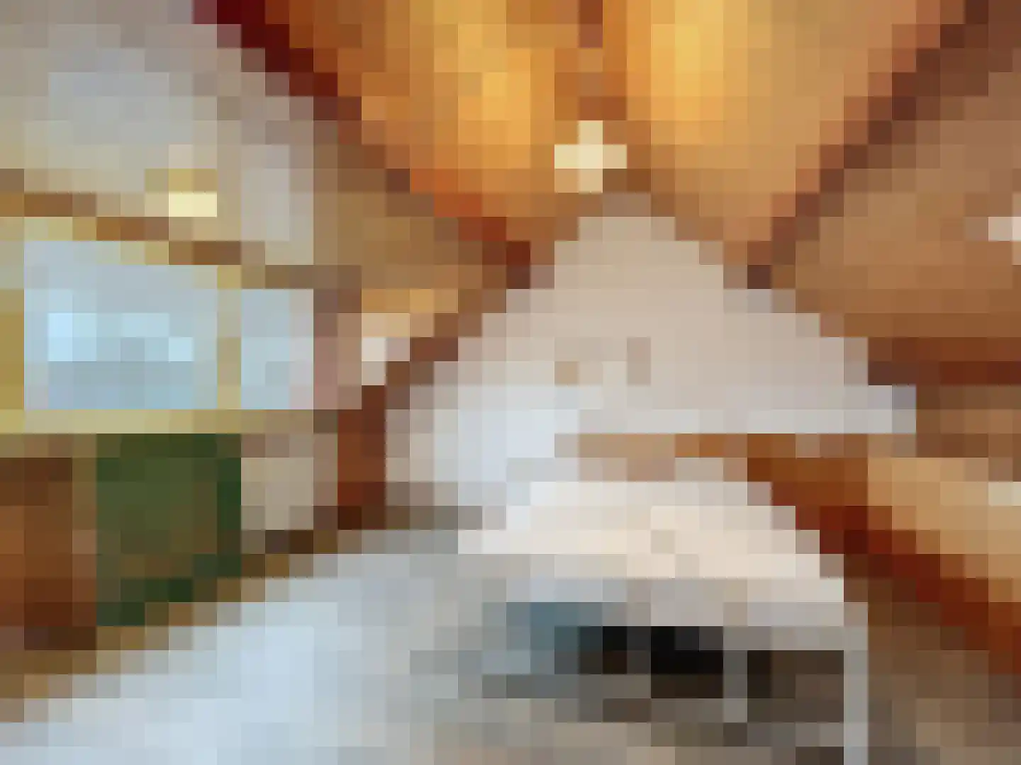 Prinsessenstraat 9 IJzendijke thumbnail 22
