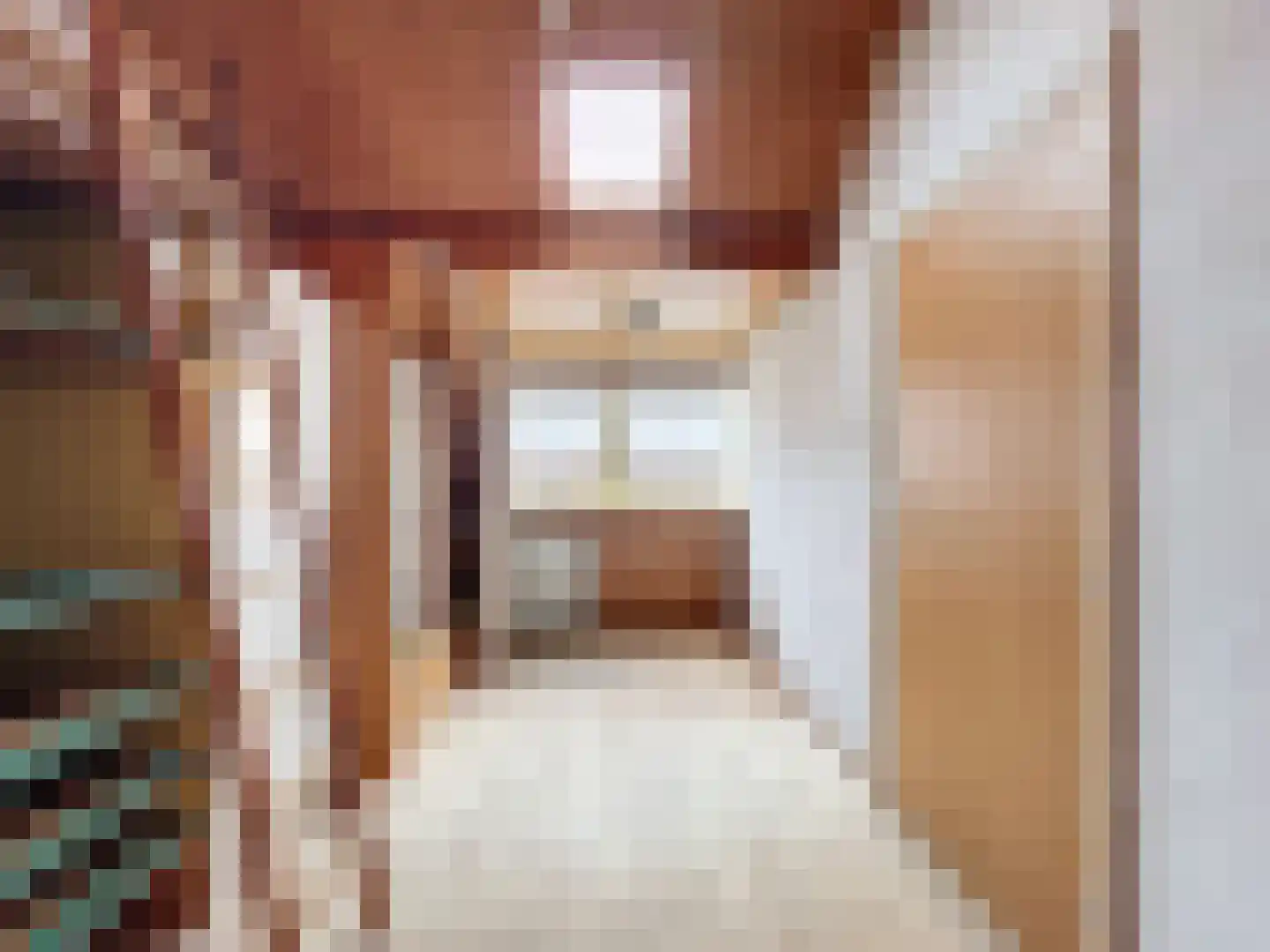 Prinsessenstraat 9 IJzendijke thumbnail 23