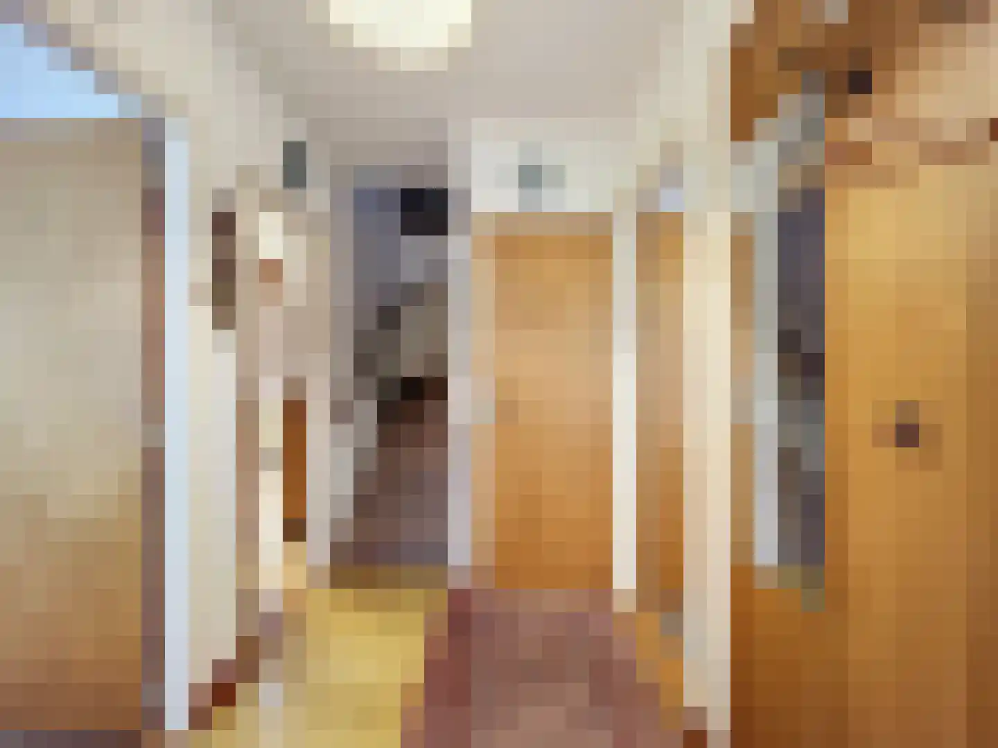 Prinsessenstraat 9 IJzendijke thumbnail 4