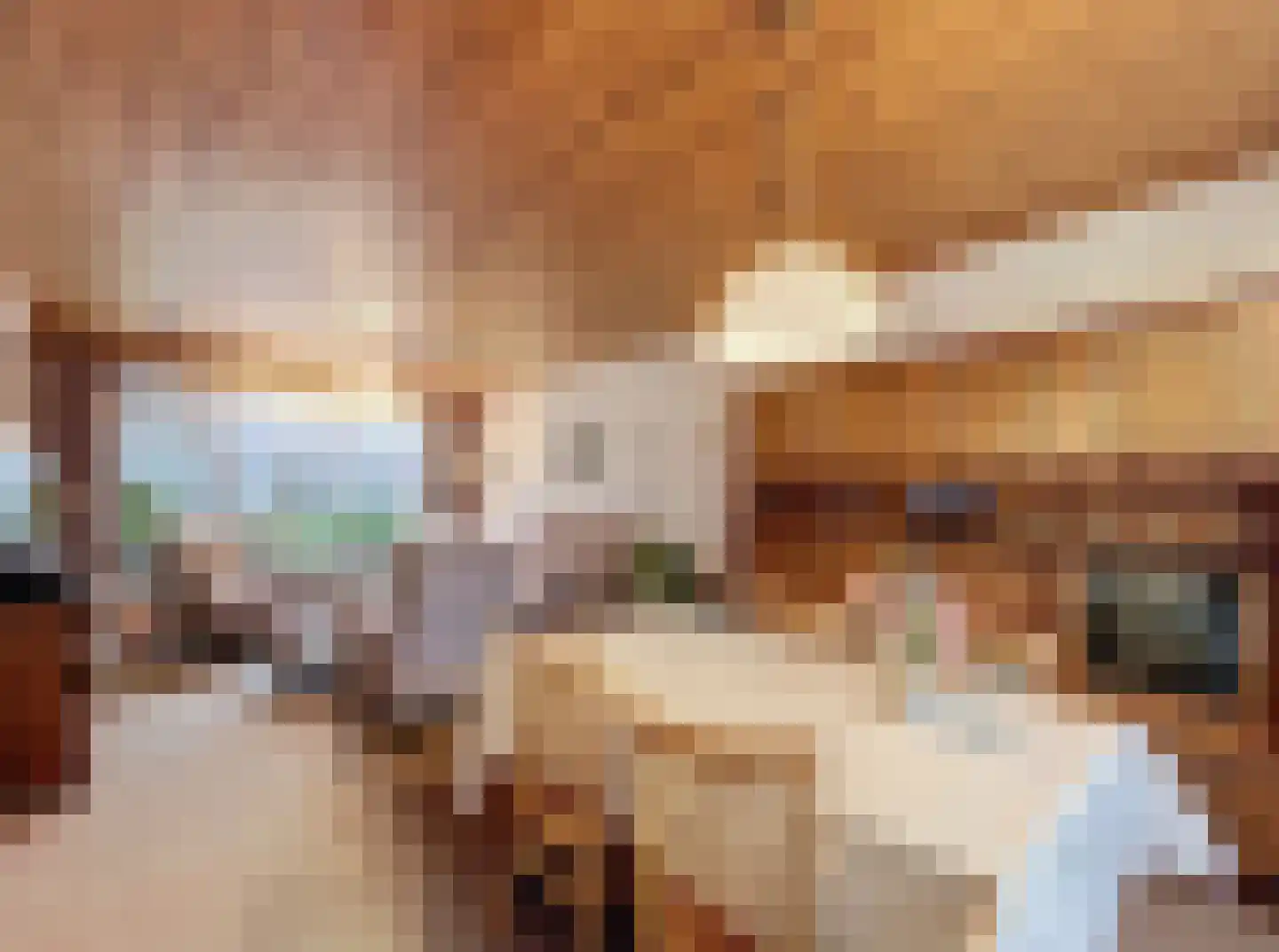 Prinsessenstraat 9 IJzendijke thumbnail 6
