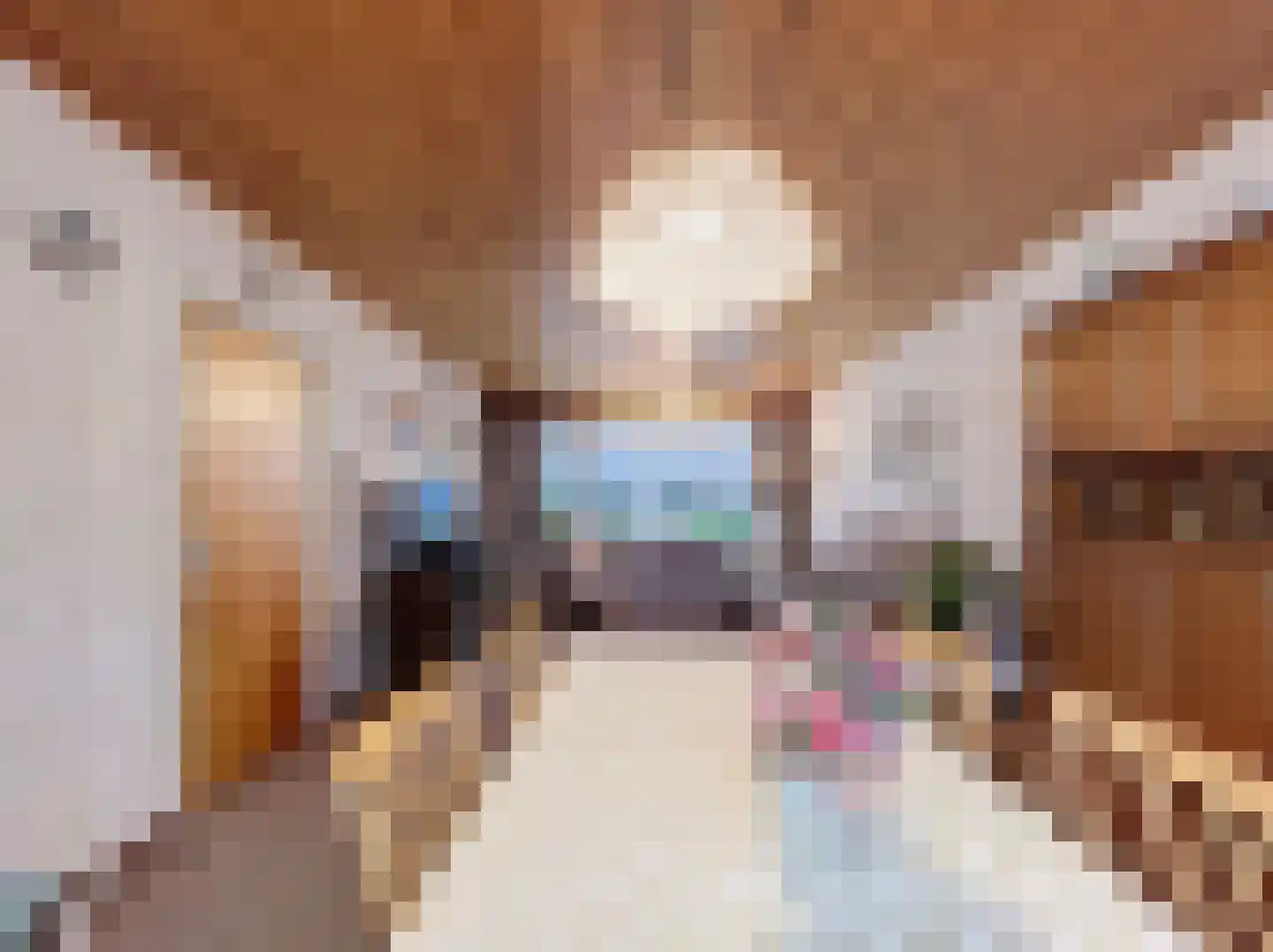 Prinsessenstraat 9 IJzendijke thumbnail 7