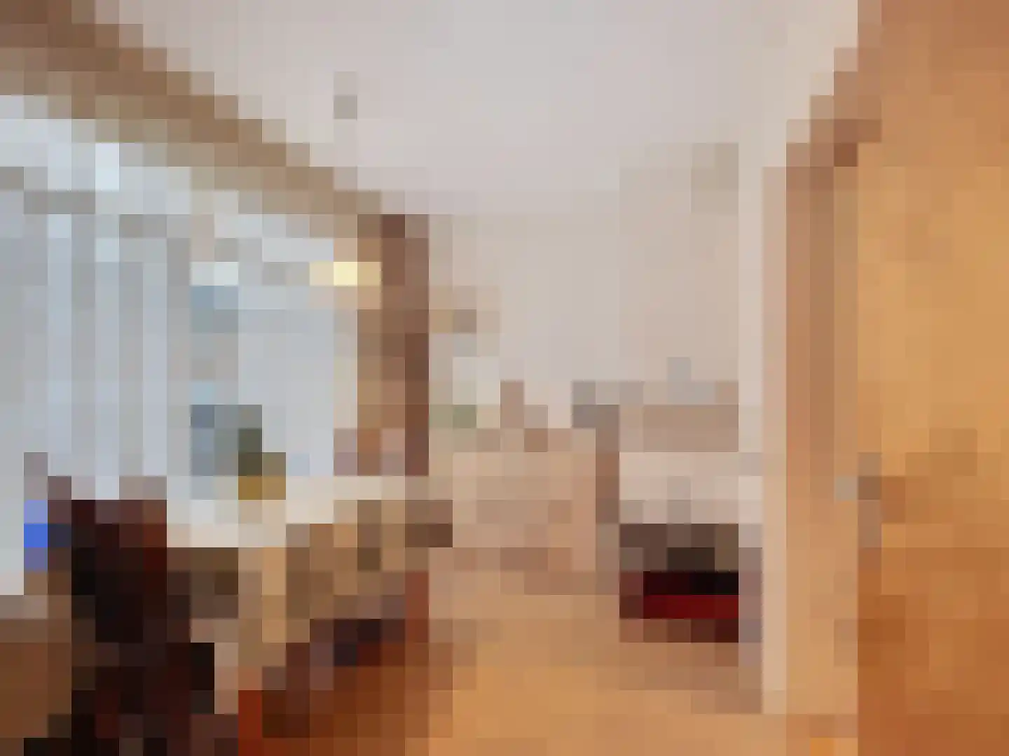 Prinsessenstraat 9 IJzendijke thumbnail 8
