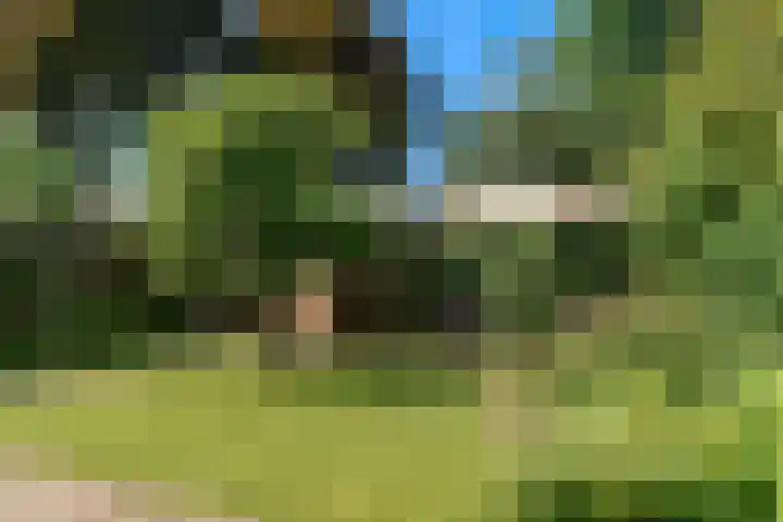 Prinsessenweg 25 Nieuwegein thumbnail 30