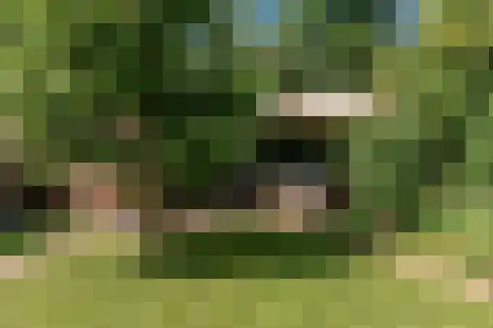 Prinsessenweg 25 Nieuwegein thumbnail 31