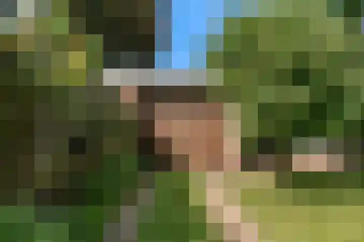 Prinsessenweg 25 Nieuwegein thumbnail 32