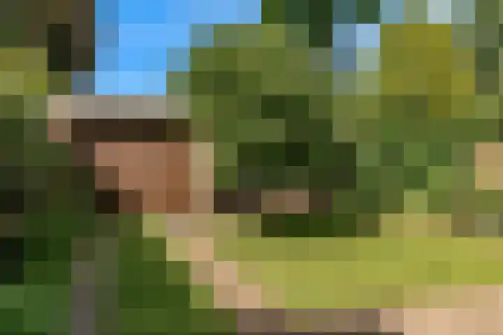 Prinsessenweg 25 Nieuwegein thumbnail 33