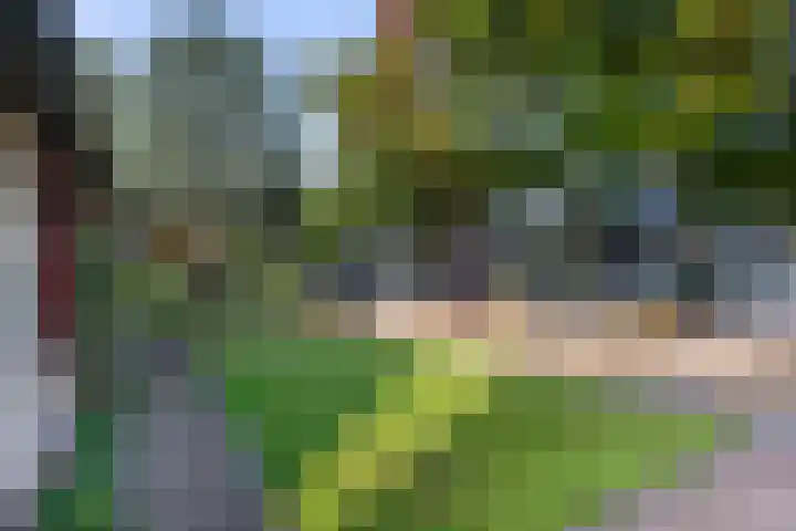 Prinsessenweg 62 Nieuwegein thumbnail 39