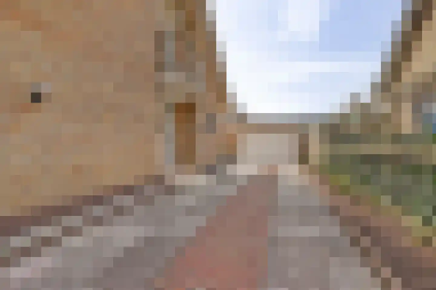 Prinsessenweg 68 Nieuwegein thumbnail 12