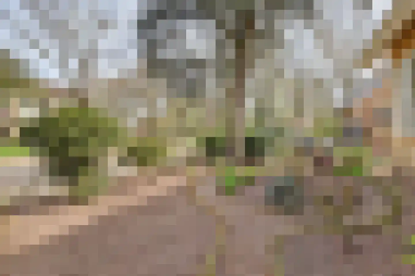 Prinsessenweg 68 Nieuwegein thumbnail 57