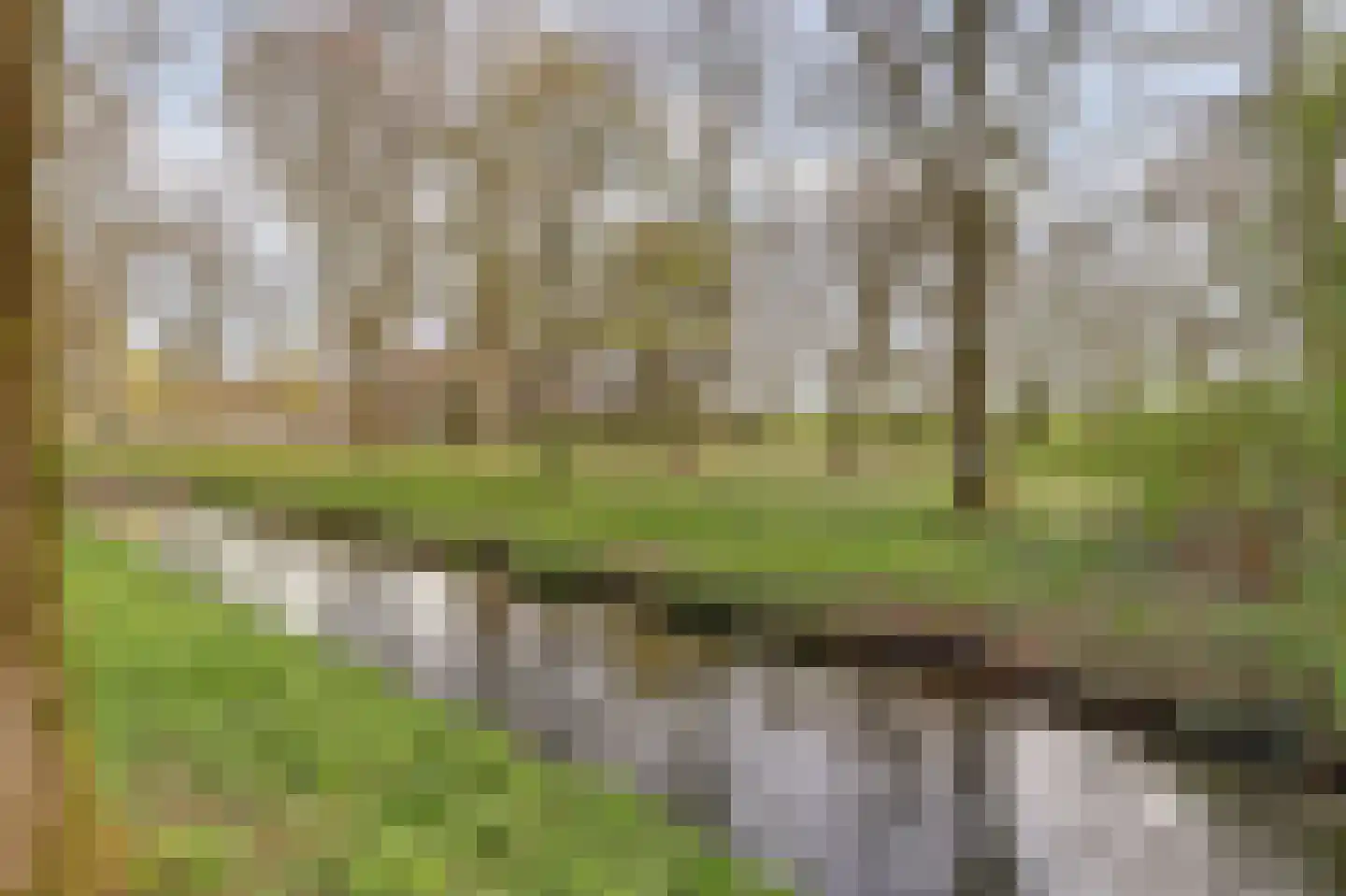 Prinsessenweg 68 Nieuwegein thumbnail 59
