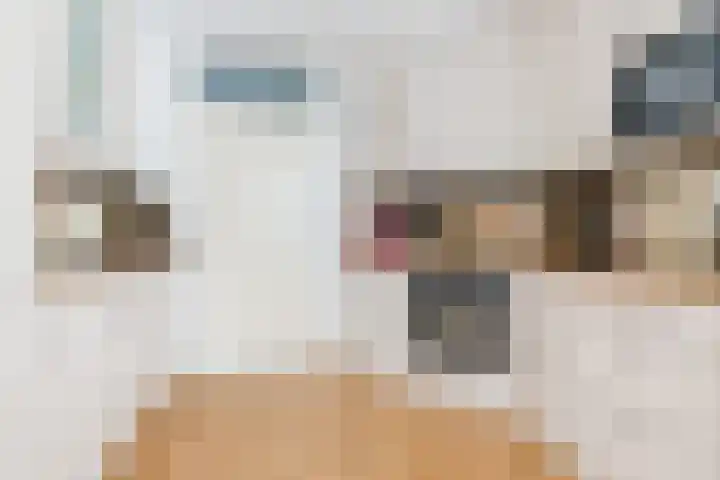 Prinsessestraat 12 Geldrop thumbnail 17