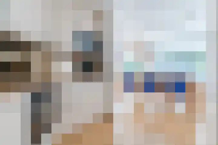 Prinsessestraat 12 Geldrop thumbnail 18