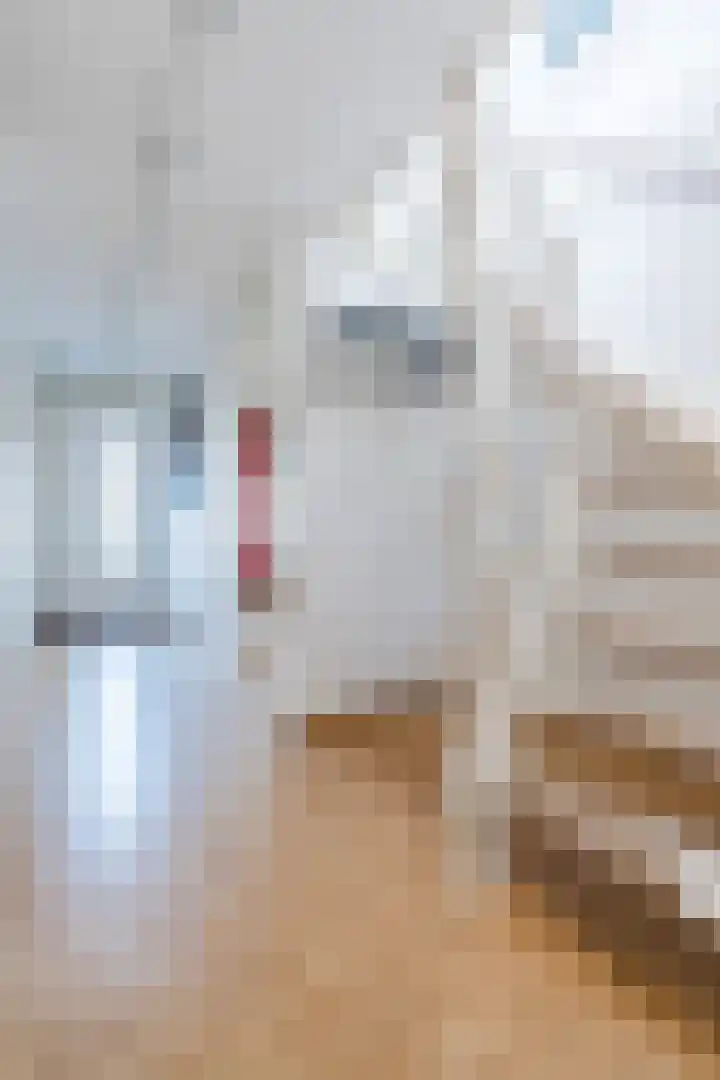 Prinsessestraat 12 Geldrop thumbnail 26