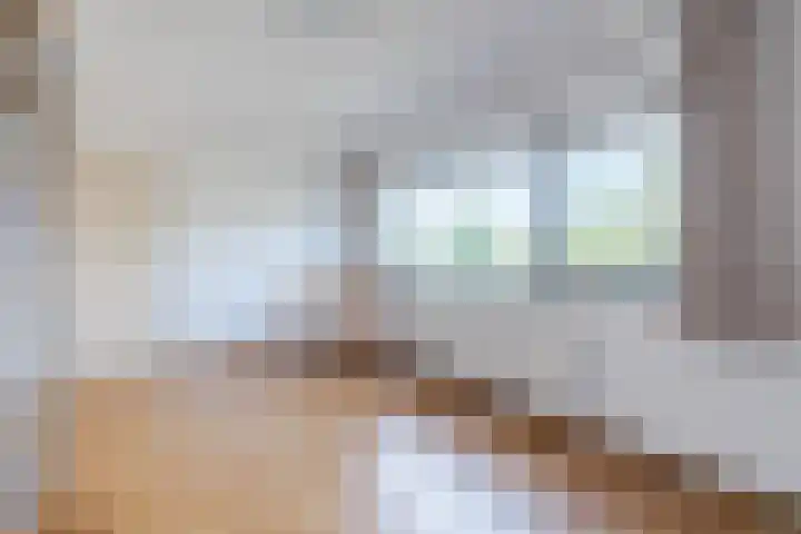 Prinsessestraat 12 Geldrop thumbnail 31