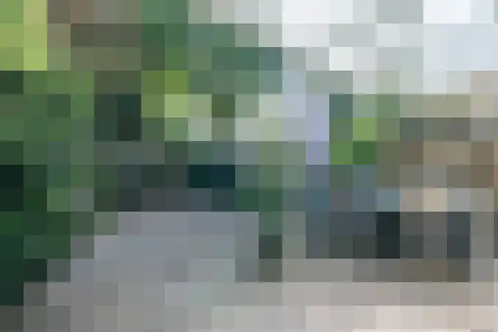 Prinsessestraat 12 Geldrop thumbnail 37
