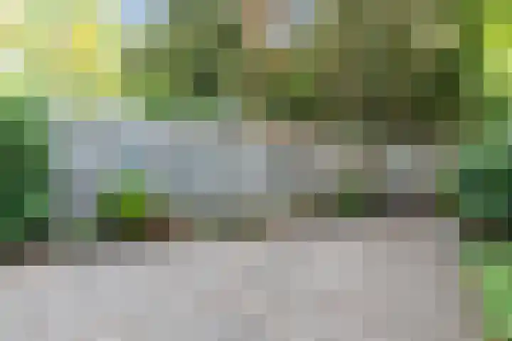 Prinsessestraat 12 Geldrop thumbnail 38