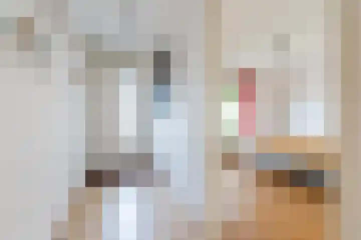 Prinsessestraat 12 Geldrop thumbnail 4