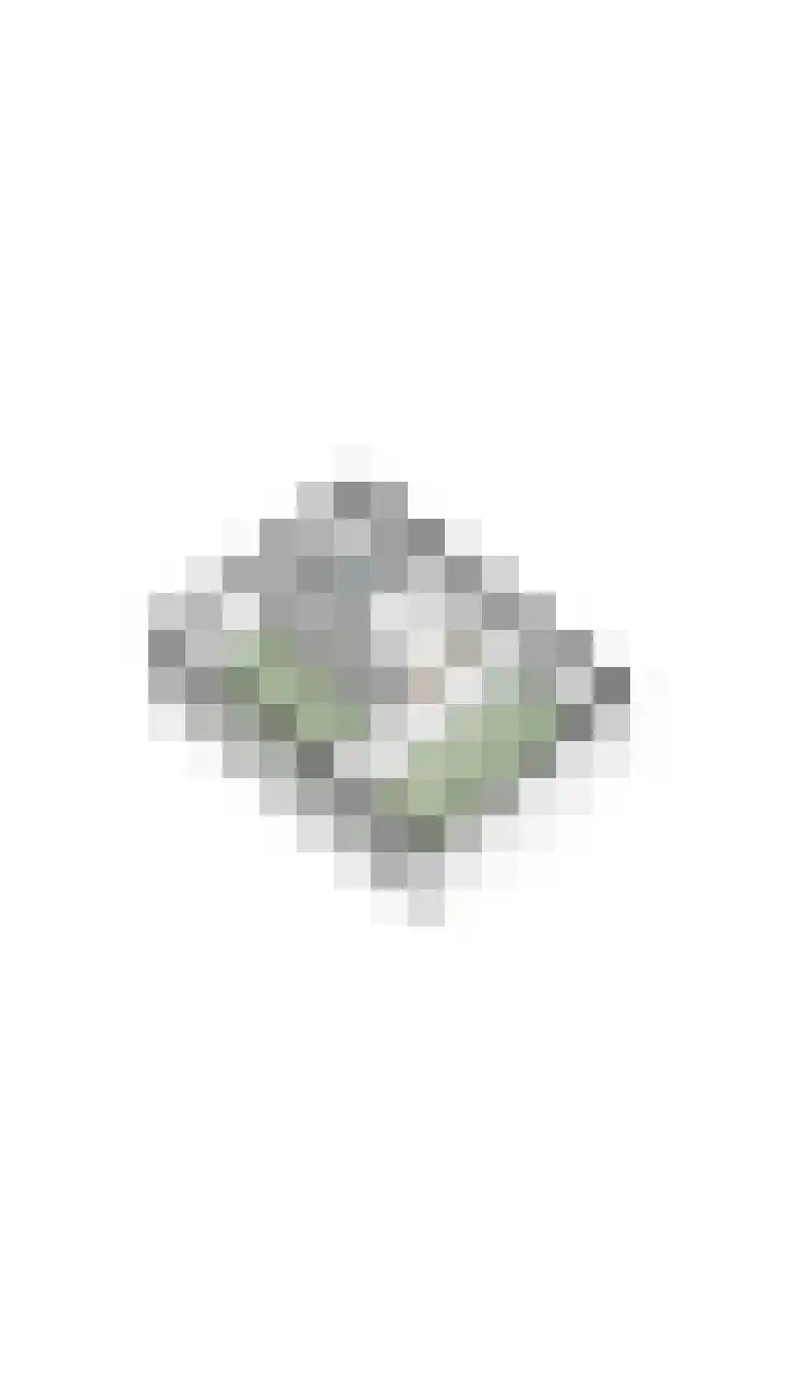 Prinsessestraat 12 Geldrop thumbnail 48