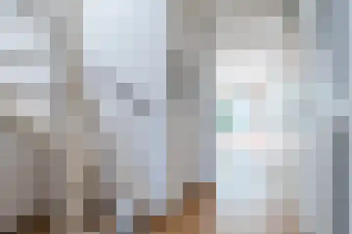 Prinsessestraat 12 Geldrop thumbnail 5