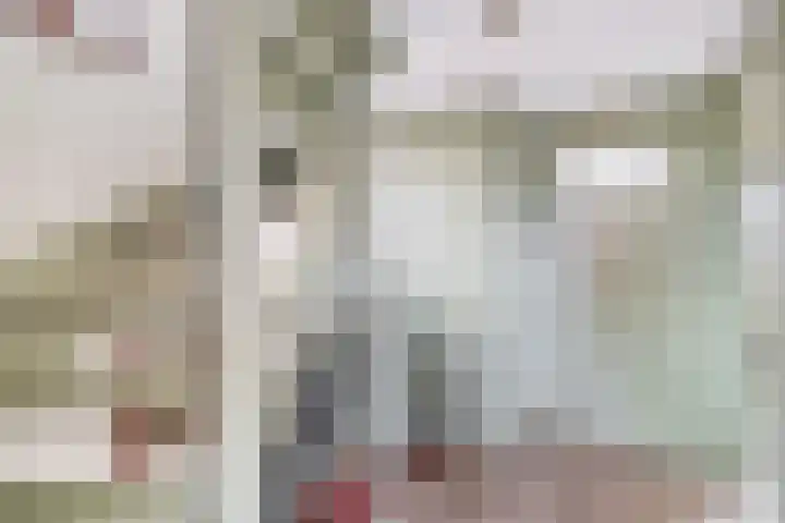Prinsessestraat 146 Lisse thumbnail 18