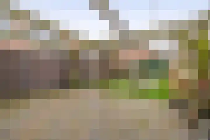 Prinsessestraat 146 Lisse thumbnail 30